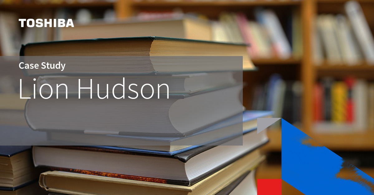 case-study-image_lion-hudson case-study-image_lion-hudson